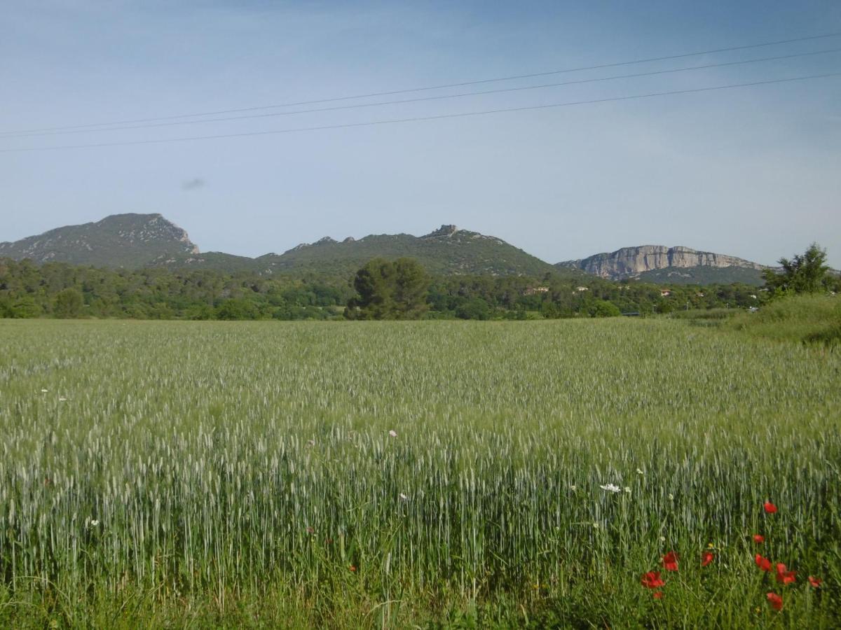Le Castellas Du Pic St Loup Saint-Mathieu-de-Tréviers 外观 照片