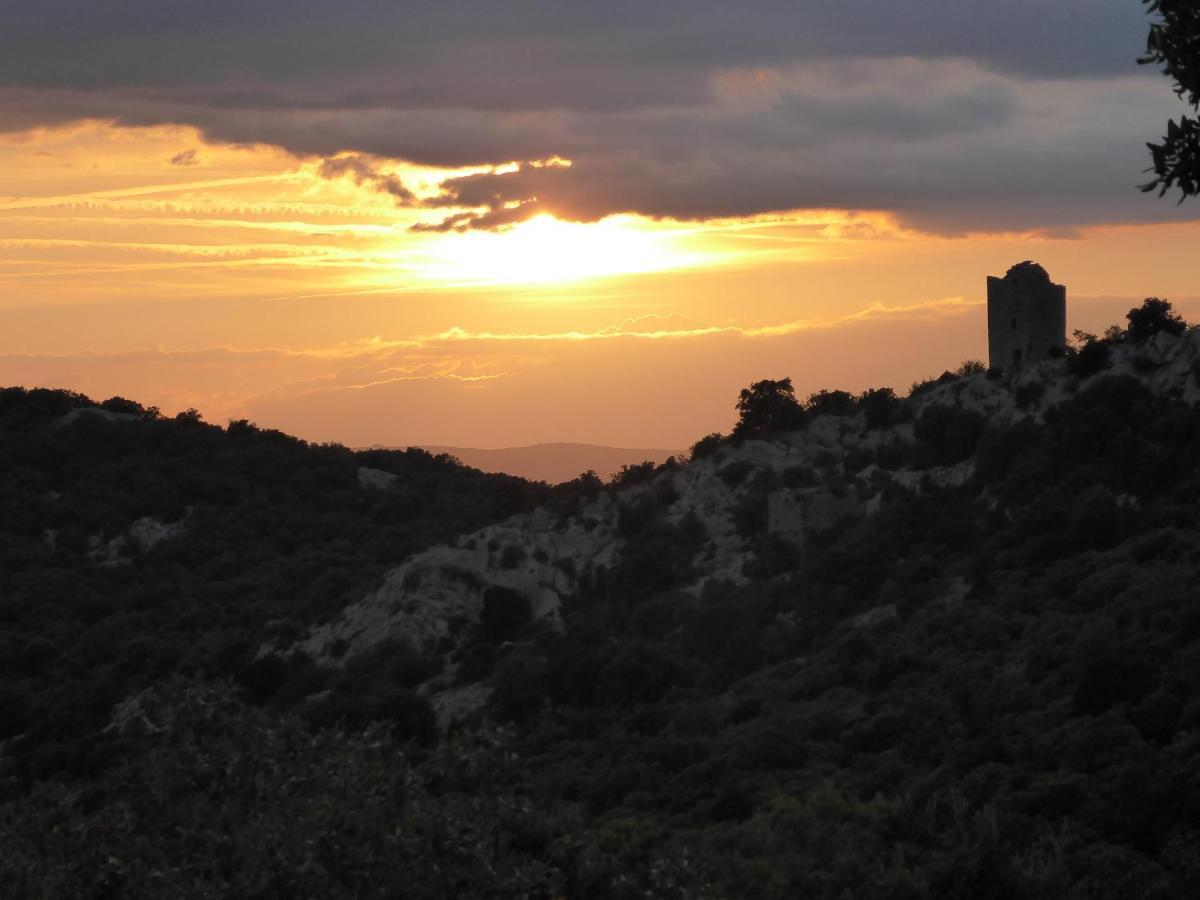 Le Castellas Du Pic St Loup Saint-Mathieu-de-Tréviers 外观 照片