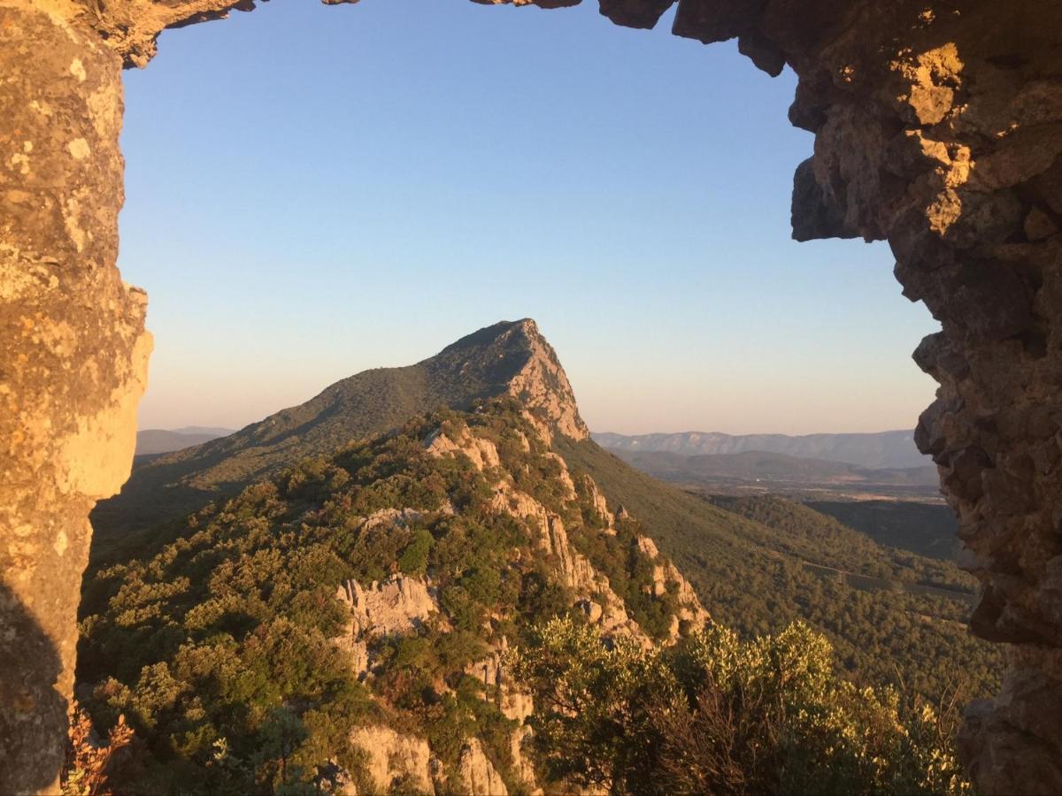 Le Castellas Du Pic St Loup Saint-Mathieu-de-Tréviers 外观 照片