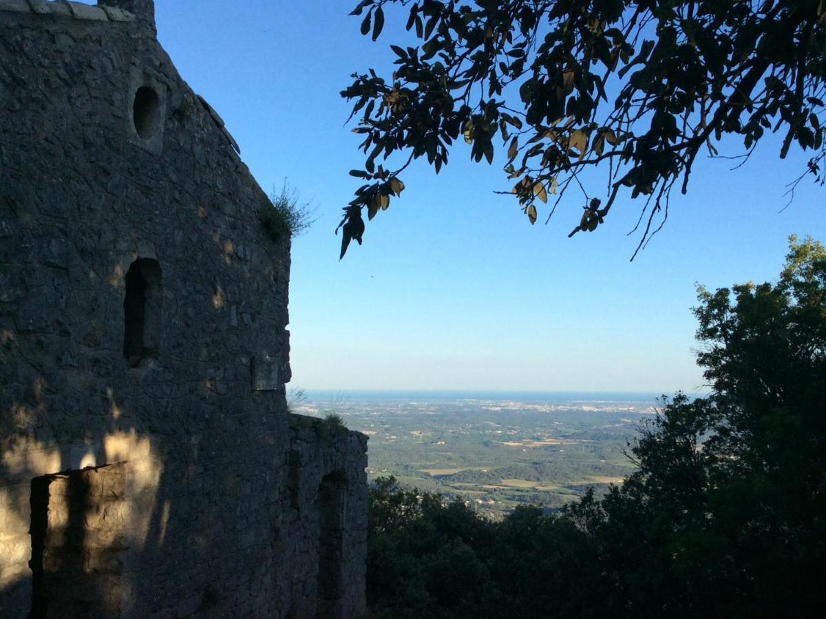Le Castellas Du Pic St Loup Saint-Mathieu-de-Tréviers 外观 照片