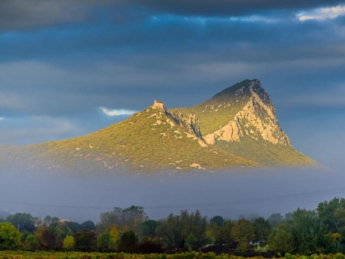 Le Castellas Du Pic St Loup Saint-Mathieu-de-Tréviers 外观 照片