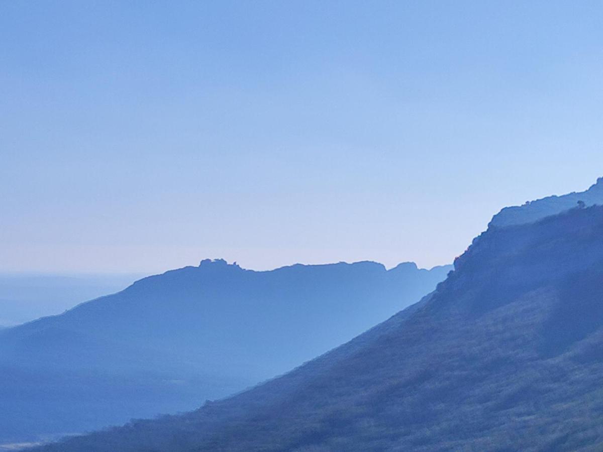 Le Castellas Du Pic St Loup Saint-Mathieu-de-Tréviers 外观 照片