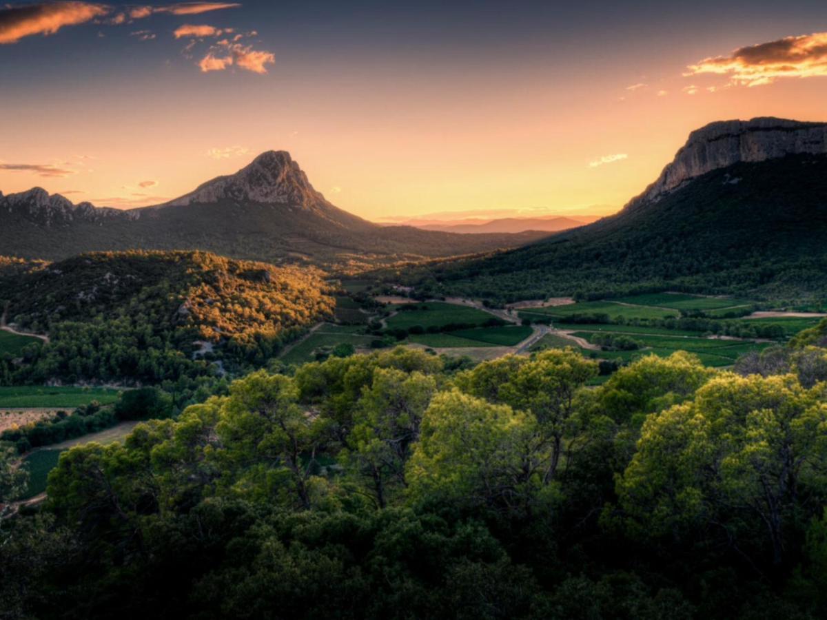 Le Castellas Du Pic St Loup Saint-Mathieu-de-Tréviers 外观 照片