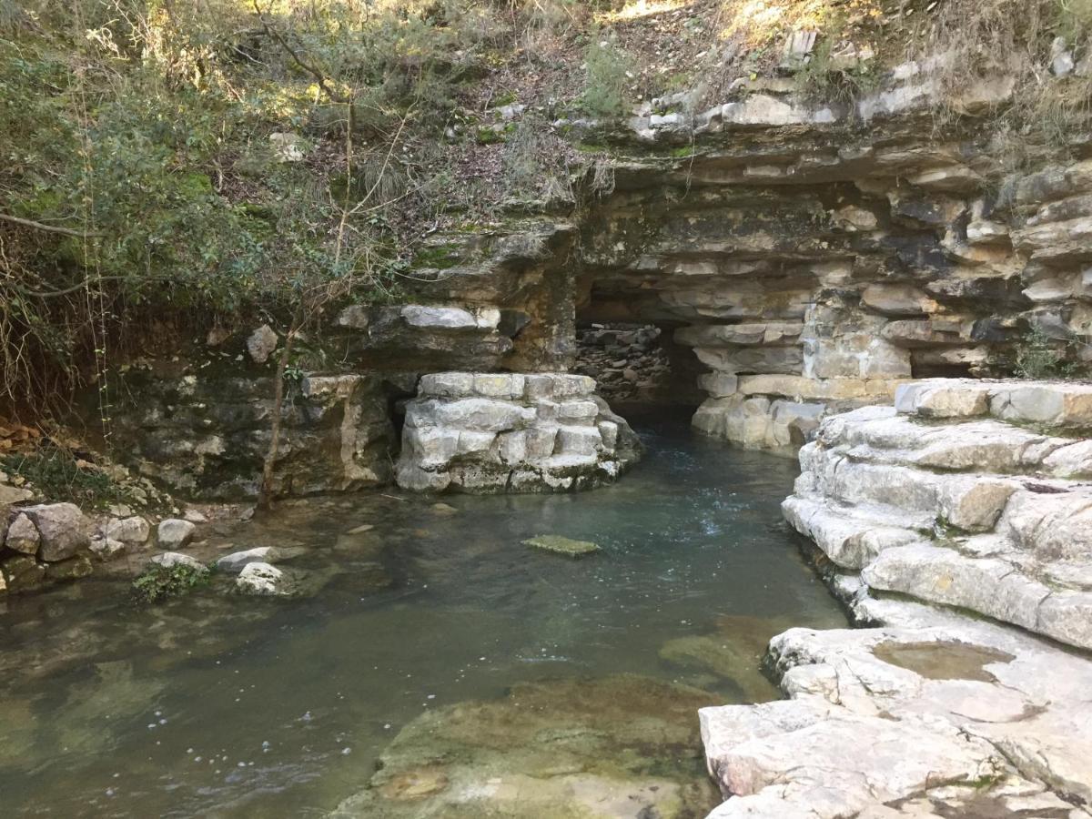 Le Castellas Du Pic St Loup Saint-Mathieu-de-Tréviers 外观 照片