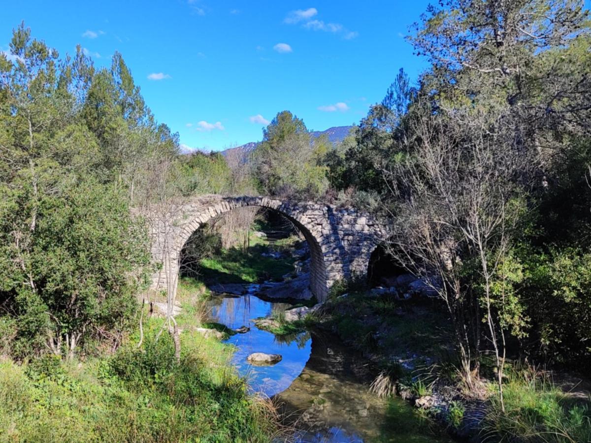 Le Castellas Du Pic St Loup Saint-Mathieu-de-Tréviers 外观 照片
