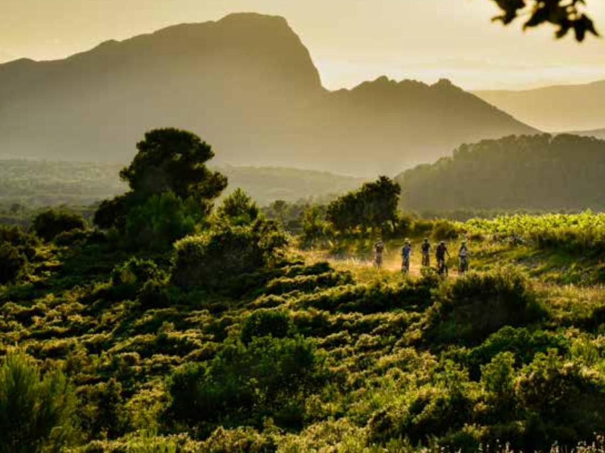 Le Castellas Du Pic St Loup Saint-Mathieu-de-Tréviers 外观 照片