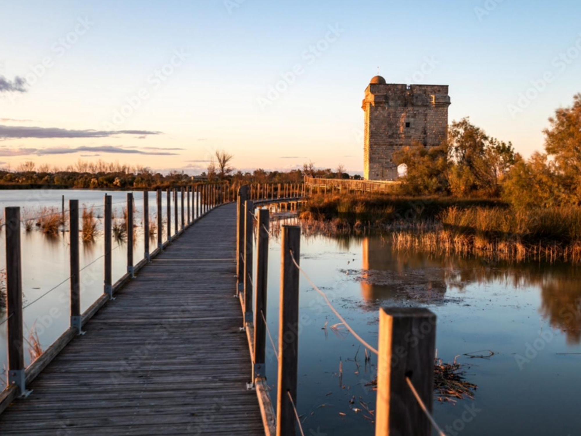 Le Castellas Du Pic St Loup Saint-Mathieu-de-Tréviers 外观 照片