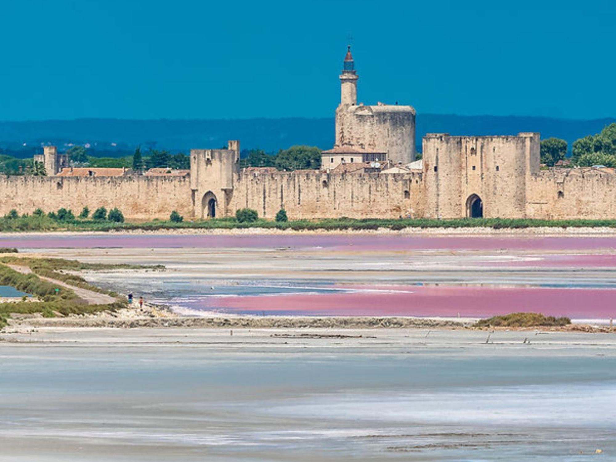 Le Castellas Du Pic St Loup Saint-Mathieu-de-Tréviers 外观 照片
